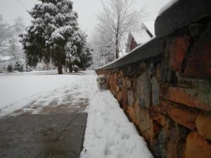 How to walk a dog in Boulder