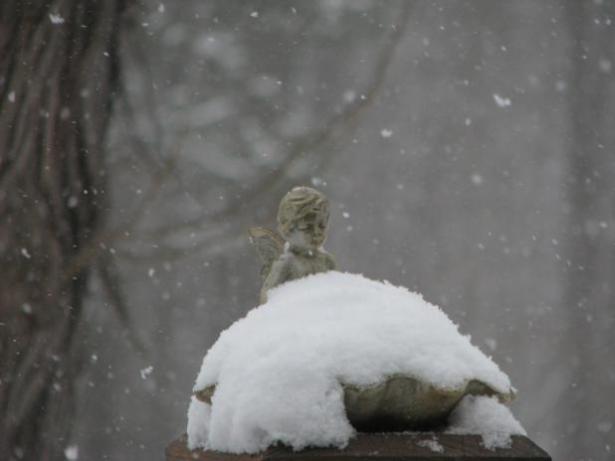 snow on a bird bath