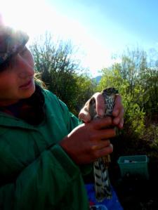 anya with ssha_464x618