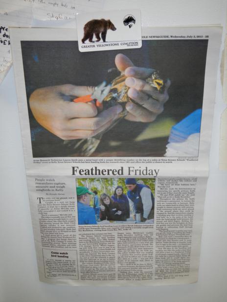 Feathered Friday article_464x618