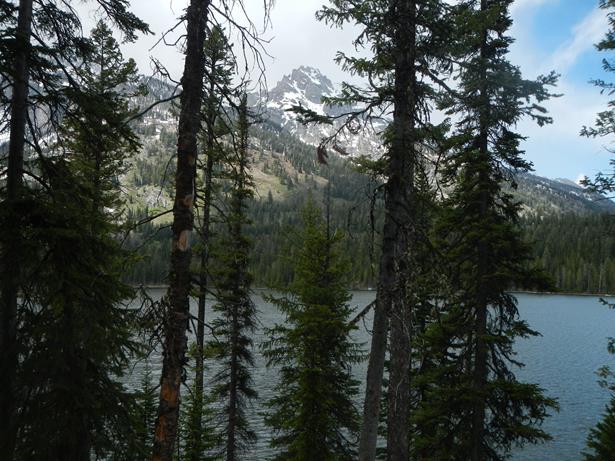 Wyoming Grand Teton National Park