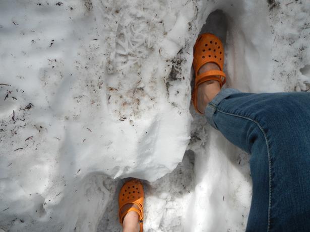 Grand Teton National Park Wyoming Crocs