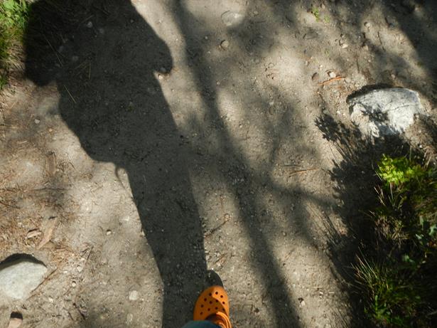 Wyoming Grand Teton National Park